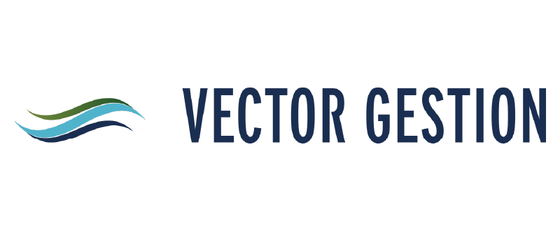 Vector Gestion